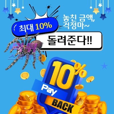 0aa80be3dfa4e2aeebb40c14b860c3f2_1758910682_248.jpg
