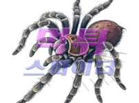 76506ccf8be5e0c4952089d32ebcf946_1758360509_7317.png