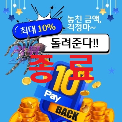 28b97aa11d999284f85ceac12dbb5bbb_1771550434_4918.jpg 28b97aa11d999284f85ceac12dbb5bbb_1771550434_4918.jpg