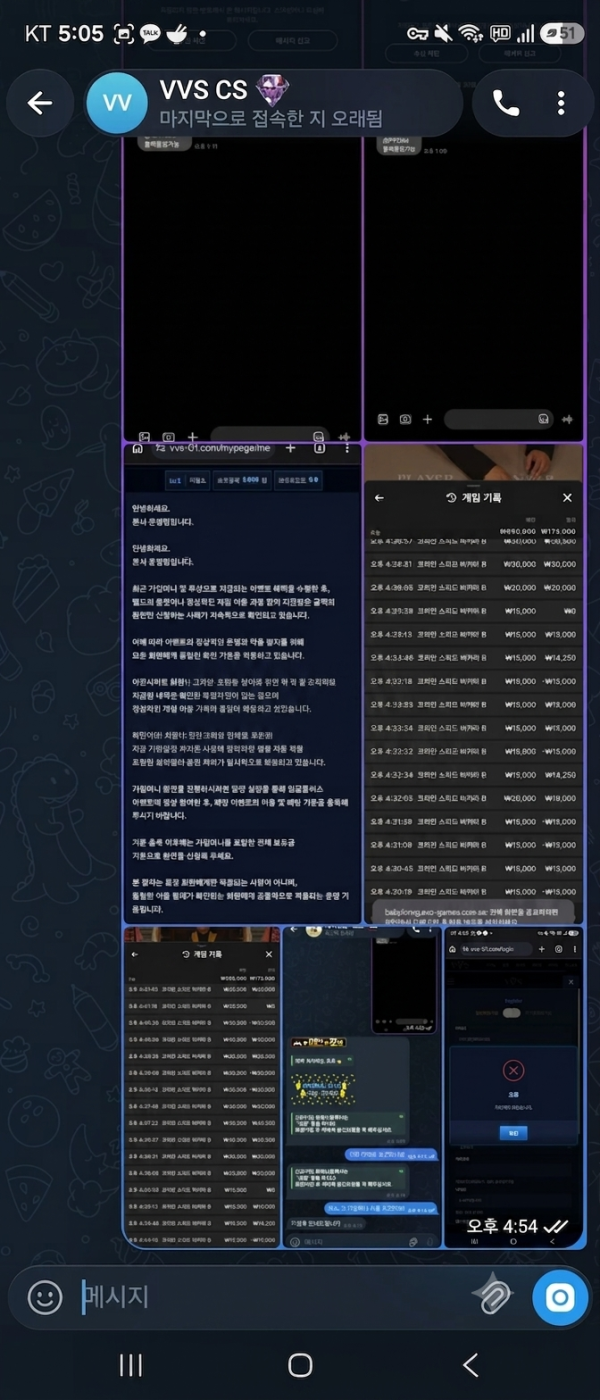 87342ee83a37798eb83b17527ff9aaa1_1788090683_1347.png