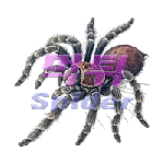 e62b1eed1ef43e3a0f75017e6d512740_1791173126_6733.png