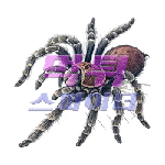 e62b1eed1ef43e3a0f75017e6d512740_1791173413_5759.png